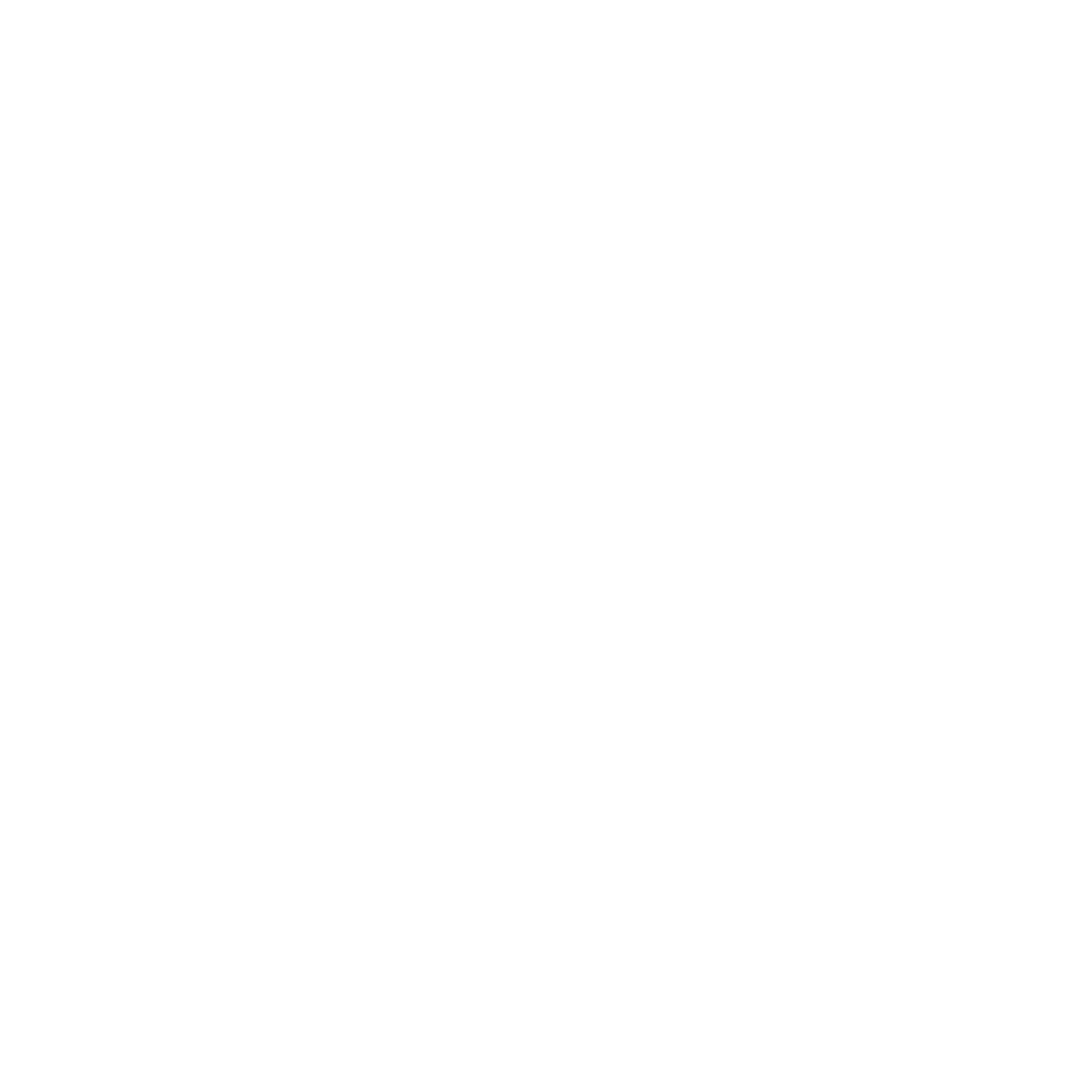 Logo Ufficiale Timo Restaurant Reggio Calabria white no bkg